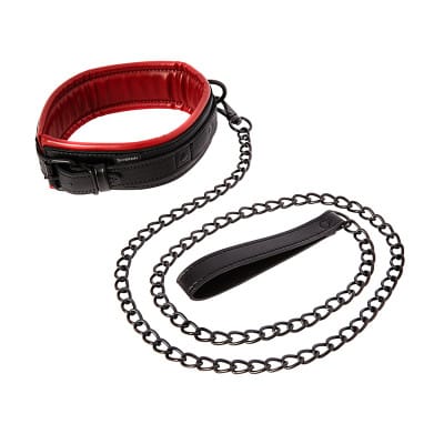 saffron-leash-and-collar.jpg Saffron Leash and Collar - Image 1